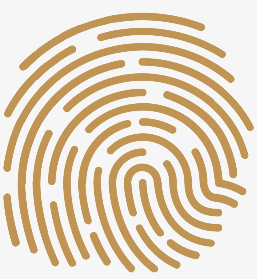 Linie Papilarne Icon - Fingerprints With No Background, transparent png download