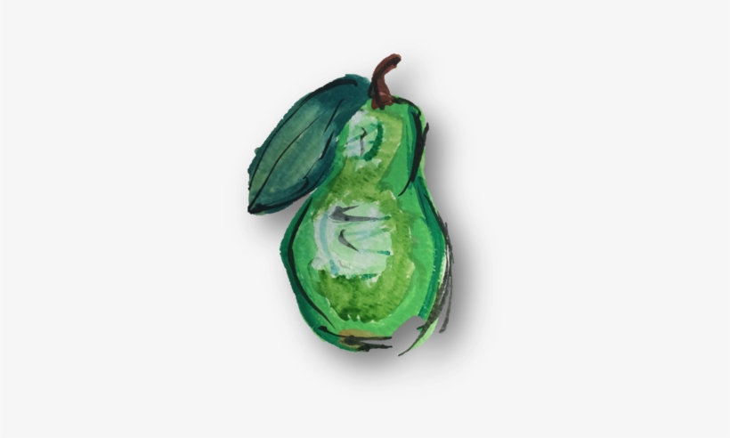 This Was A Primary Illustration Of A Pear Using Water - Fruit, transparent png download