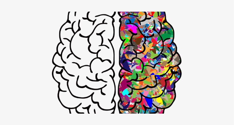 The Reasons For Hemispheric Dominance In The Brain - Left Vs Right Brain Png, transparent png download