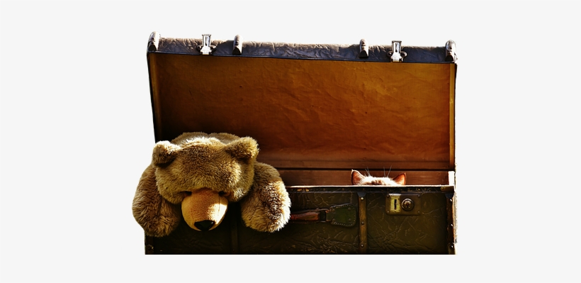 Luggage, Antique, Teddy, Cat, Hidden - Suitcase, transparent png download