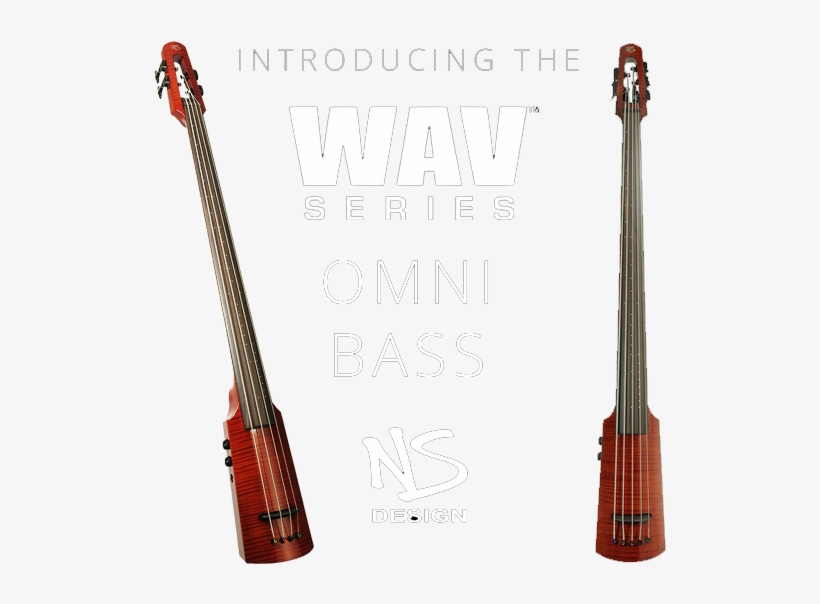 Introducing The Ns Wav Series Omni Bass - Bass Guitar, transparent png download
