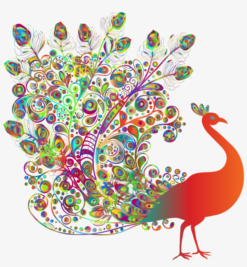 Big Image - Beautiful Peacock, transparent png download