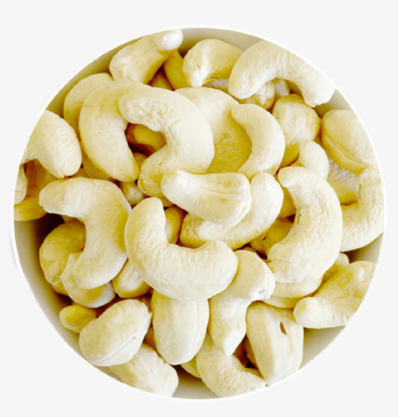 We Are Listed At The Apex In The List Of The Most Reliable - Cashew Plain, transparent png download