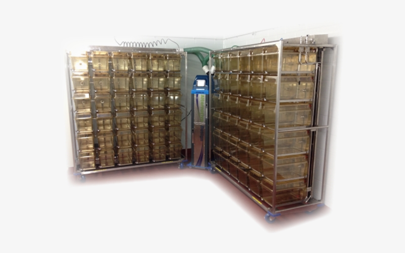 Multiple Frames With Tower Ahu - Tower, transparent png download