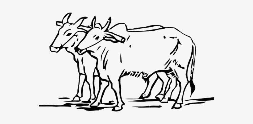 Election Symbol Two Oxen - Do Bailon Ki Katha, transparent png download