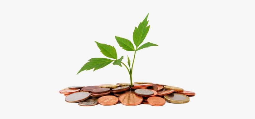 Not So Easy Home Loan - Loan Png, transparent png download