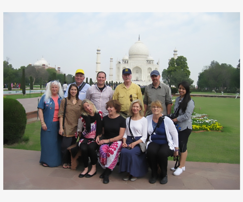An Ox Cart Carries Sugarcane To Market - Tree, transparent png download