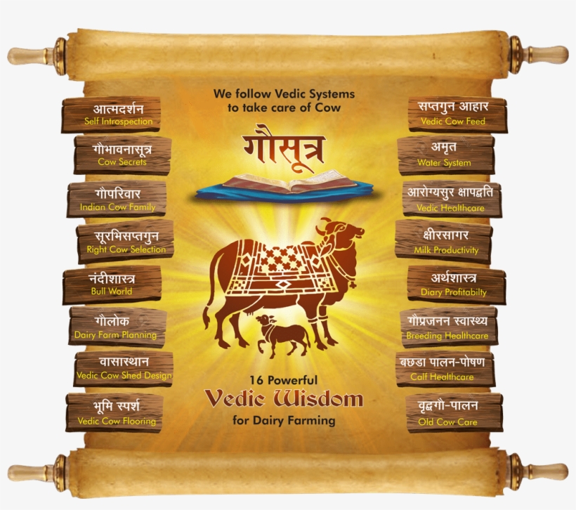 Now Many Of Cow Lovers Like You & Me, Though Being - Banner, transparent png download