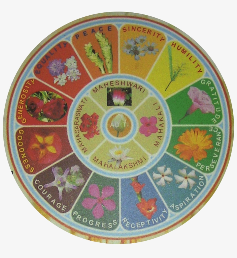 Ashokbhatia - Sri Maa And Sri Aurobindo, transparent png download