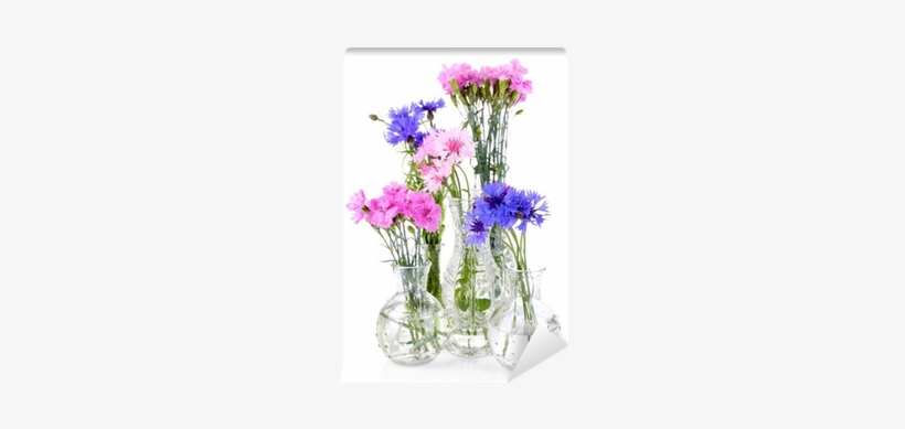Beautiful Summer Flowers In Vases, Isolated On White - Flower, transparent png download