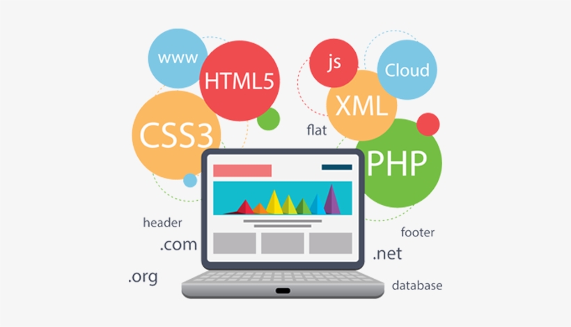 Web Designing - Web Development Roadmap For Beginners, transparent png download