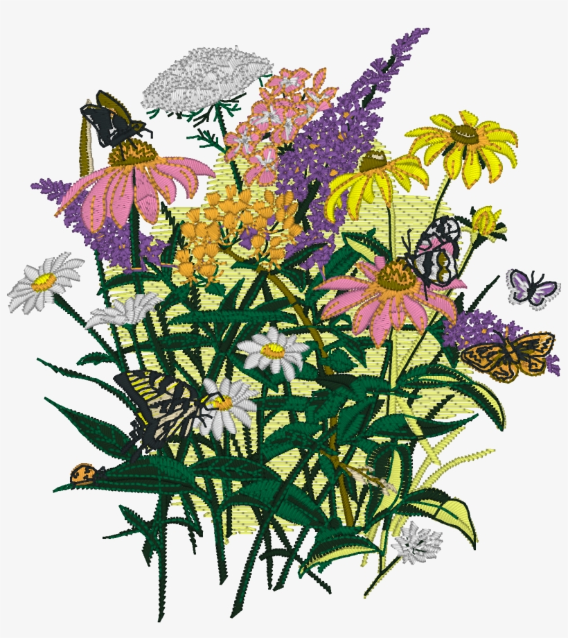 Embrilliance Enthusiast Can Generate And Save 3d Simulated - Rosa Glauca, transparent png download