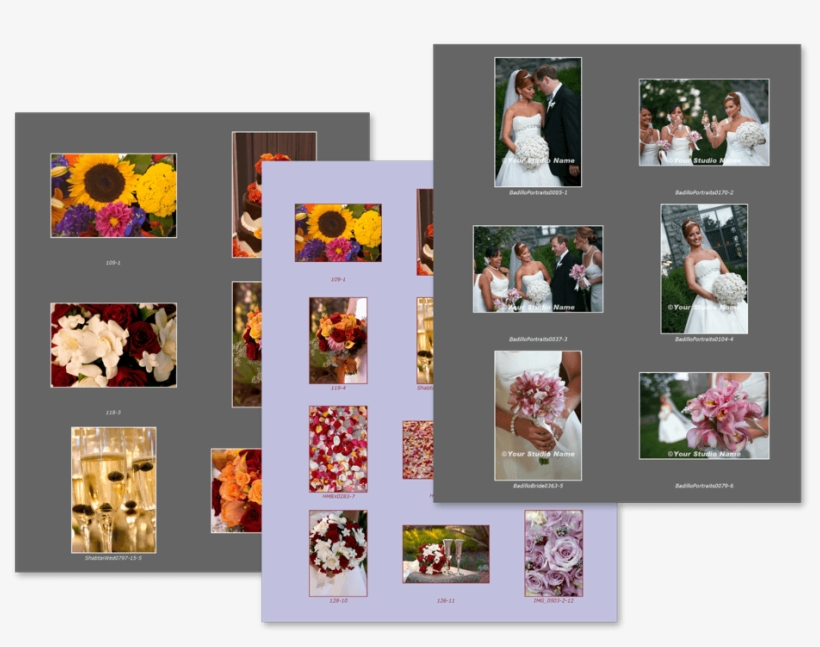 Proof Book Magazine Pages - Collage, transparent png download