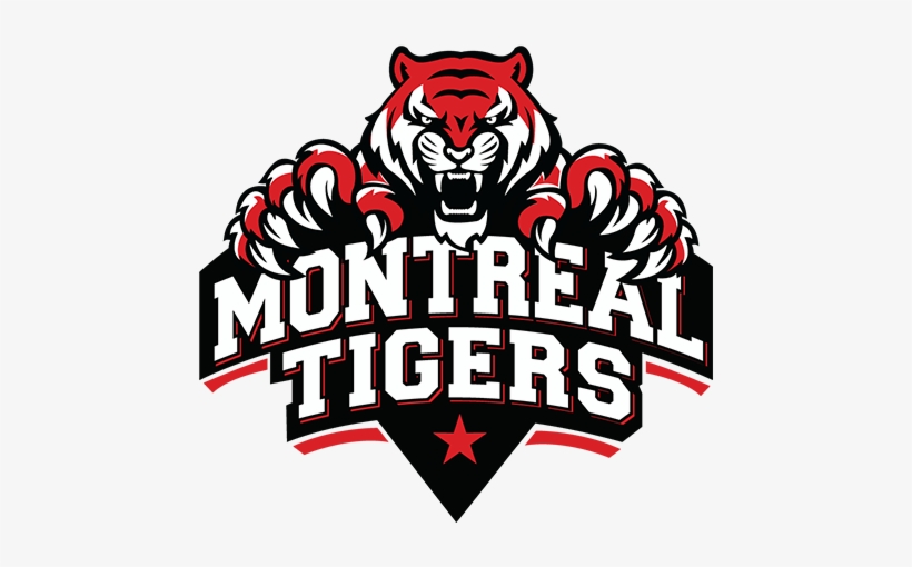 9th Match, Round 1, Global T20 Canada At King City, - First Nations Art Bc, transparent png download
