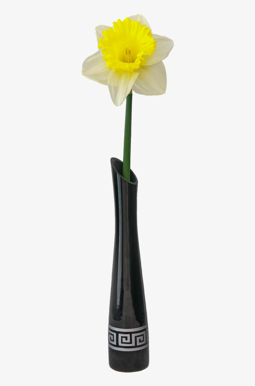 Florero Con Flor Png, transparent png download