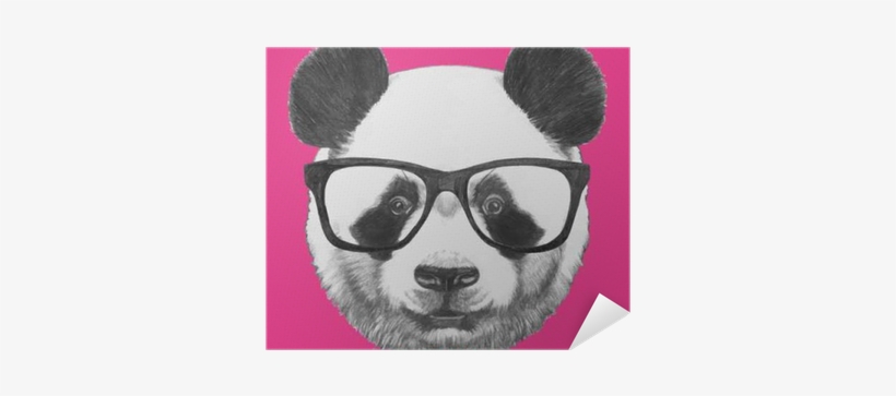 Hand Drawn Portrait Of Panda With Glasses - Panda Glasses, transparent png download