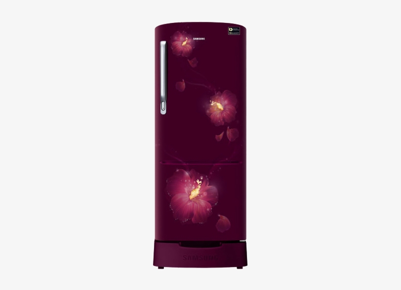 Fridge - Rr20n182zr3 Hl, transparent png download