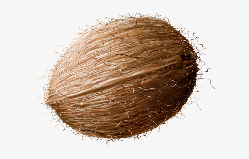 Coconut Transparent Png Clip Art Image - Clipart Image Of Coconut, transparent png download