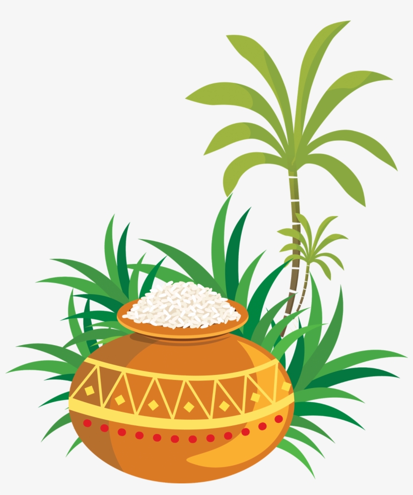 Sankranthi Pongal Ping Pot Vectors With Sugarcane And - Thailand Food Clipart Png, transparent png download