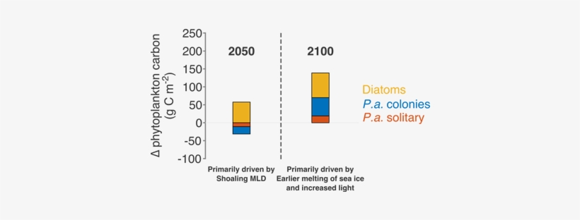 Phytoplankton Increase Projected For The Ross Sea In - Global Warming, transparent png download