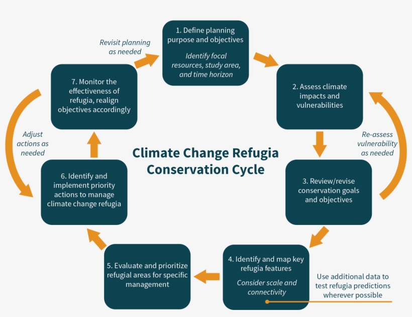 This Cycle Provides A Framework In Seven Steps For - Printing, transparent png download