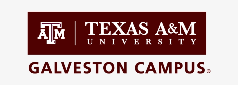 Primary Logo Print - Texas A&m, transparent png download