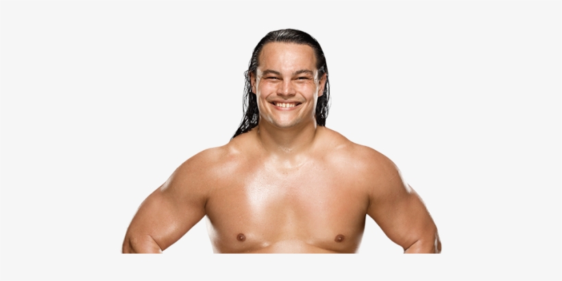 Daniel Bryan Vs - Wwe Scott Dawson Png, transparent png download