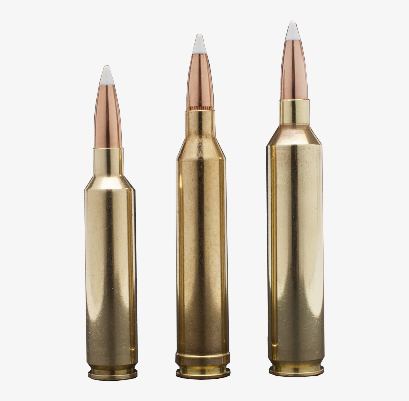 Precision Manufactured Match Grade Rifle Brass That - Brass, transparent png download