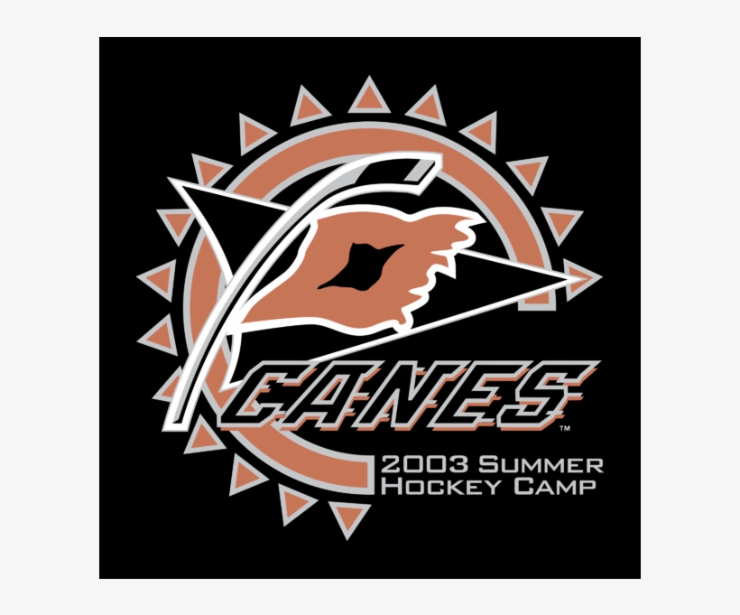 Fanmats 19257 Carolina Hurricanes Logo On Starter Rug, transparent png download