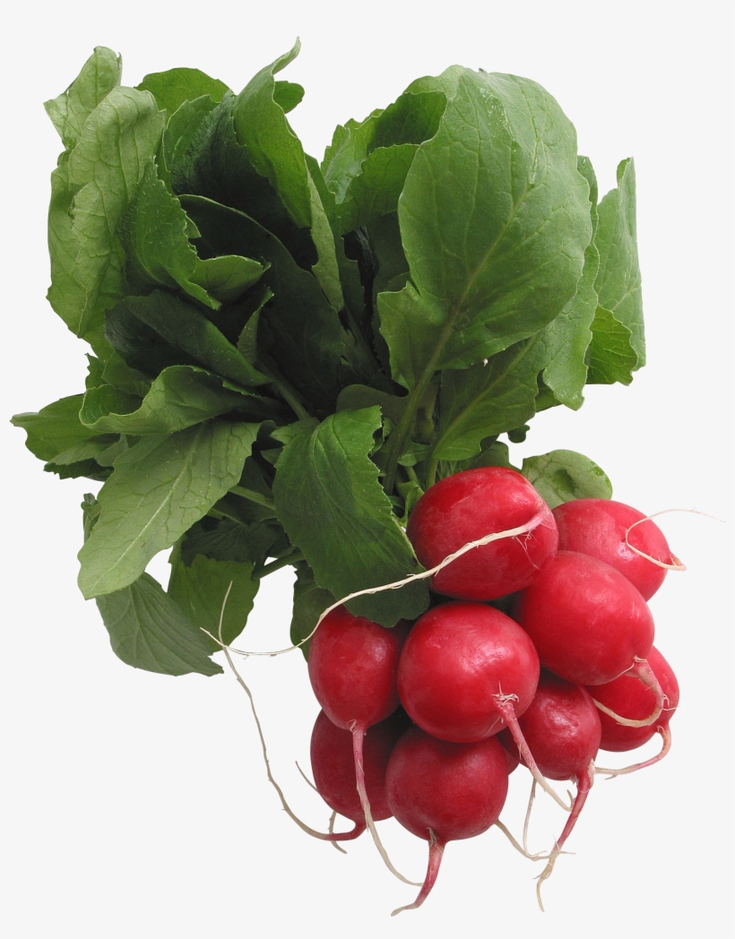 Radish Png - Smart Blonde C-617 12 X 12 Elty Metal Circular Sign, transparent png download