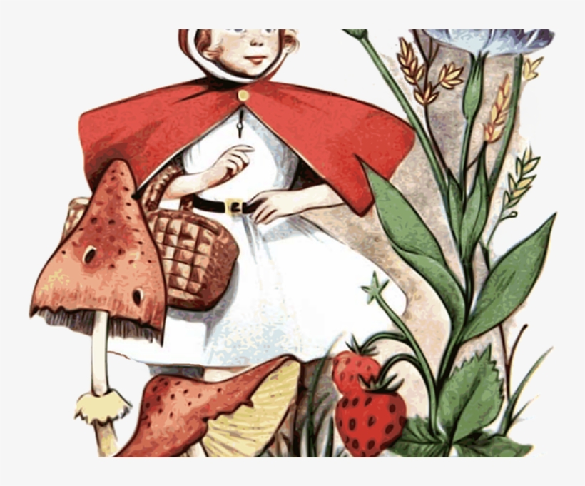 Little Red Riding Hood - Fiabe Storte. C'era Una Volta A Pisa..., transparent png download