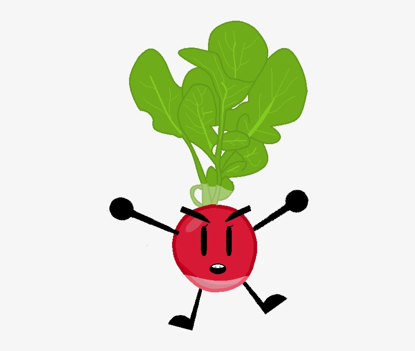 Radish - Radish Bfdi, transparent png download