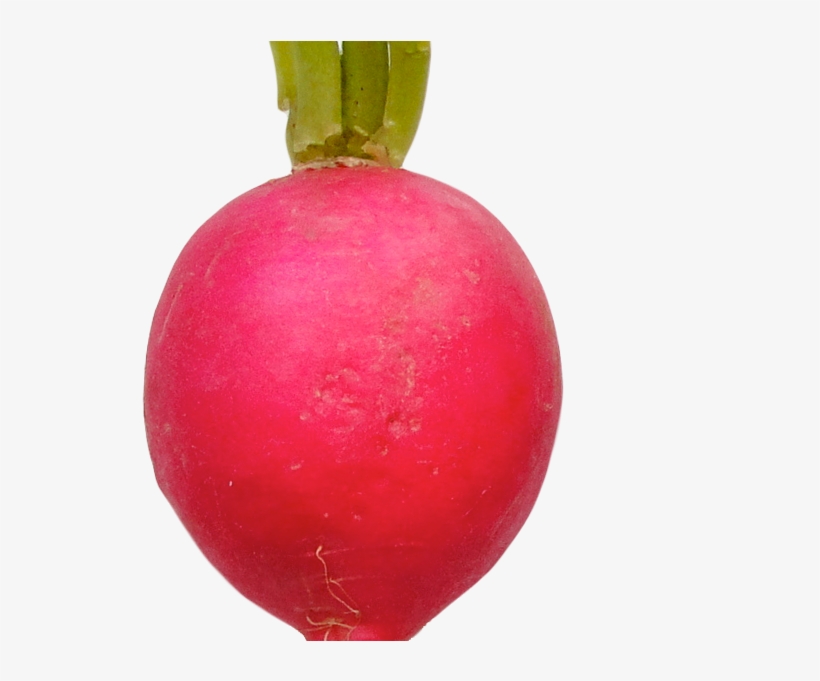 Radish Png Image - Portable Network Graphics, transparent png download