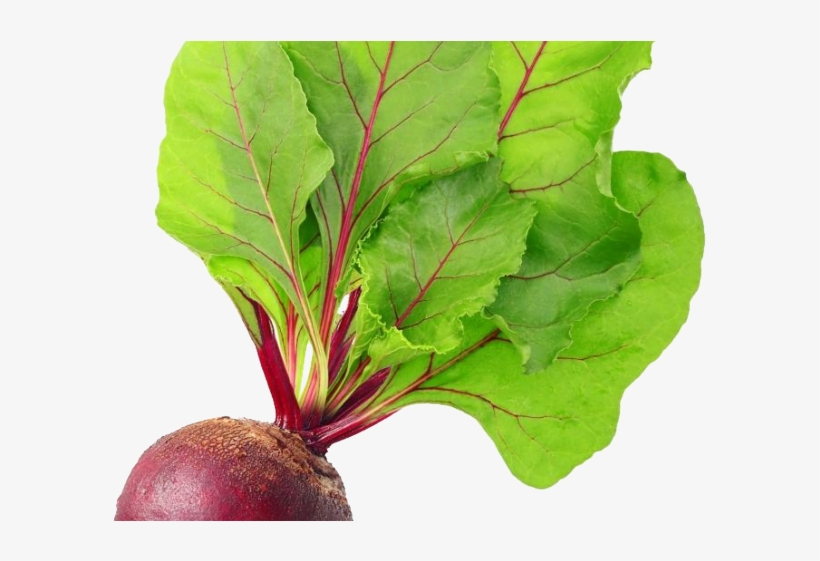 Radish Clipart Transparent - Beetroot Png, transparent png download