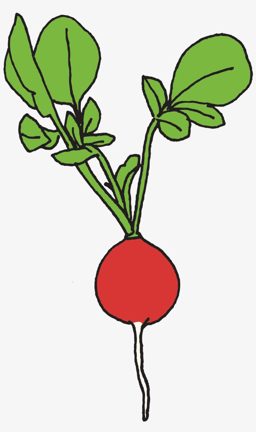 Radish - Vegetable Set Temporary Tattoo, transparent png download