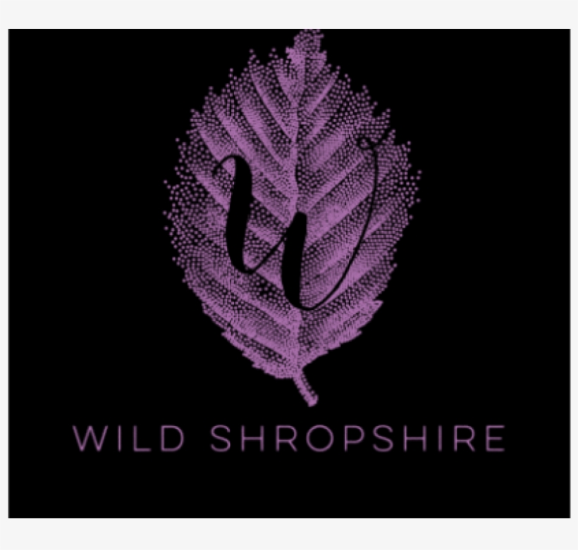 From Our Chef - Emblem, transparent png download