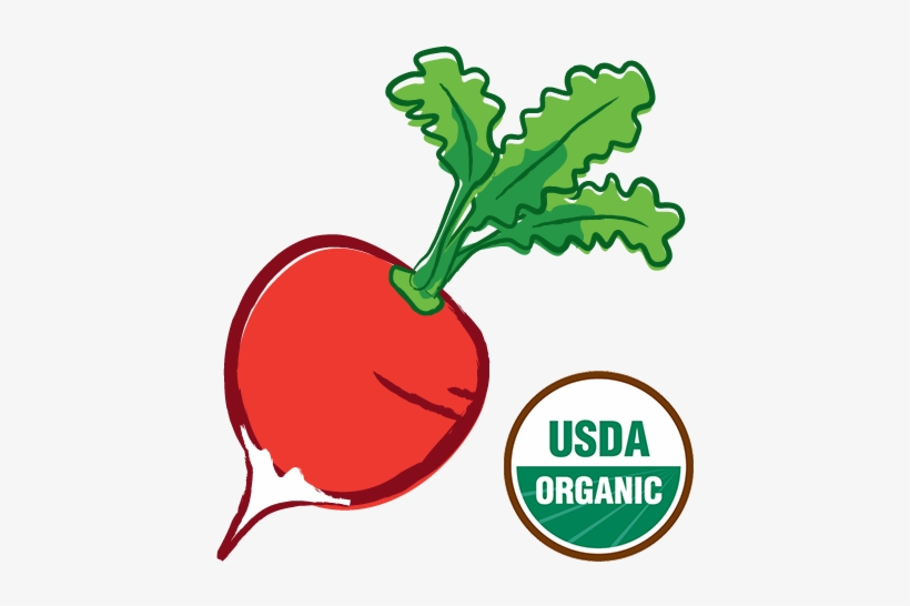 Organic-radish - Alteya's Certified Organic Bulgarian Lavender Water, transparent png download