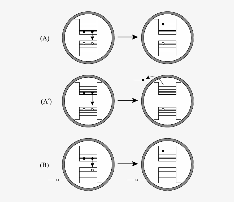 Scheme Presenting Auger Effects Considered In This - Auger Effect In Quantum Dots, transparent png download