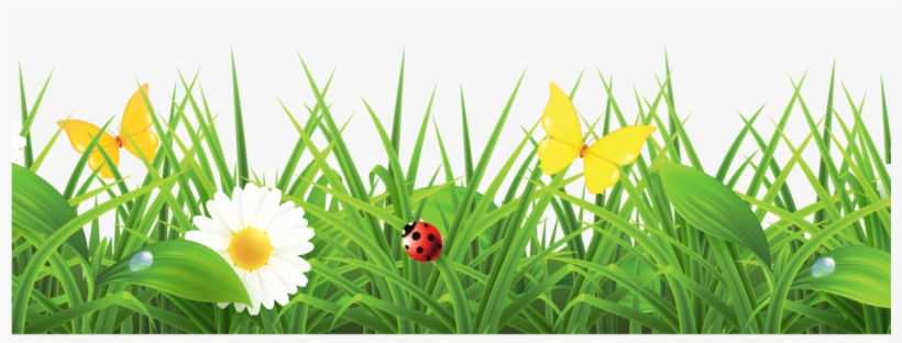 Easter Favs At Wee Chic - Grass With Flowers Png Hd, transparent png download