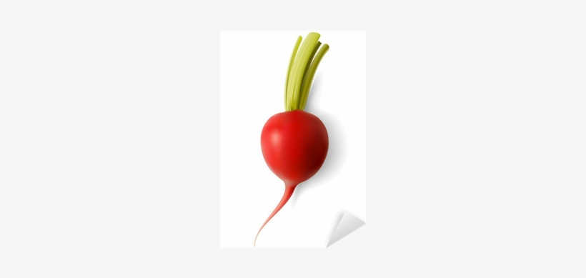 Radish, transparent png download