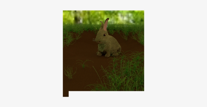 Test Render Of My Rabbit With Grass - Grass, transparent png download