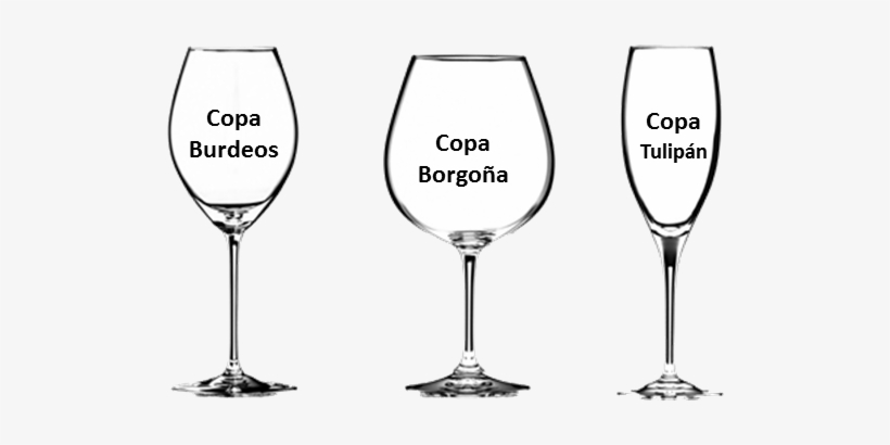 Elije La Copa De Vino Adecuada - Wine, transparent png download