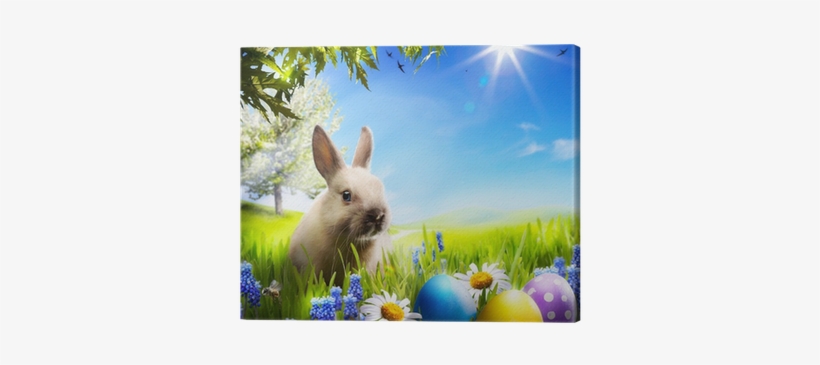 Art Little Easter Bunny And Easter Eggs On Green Grass - Easter Bunny Pillow Case, transparent png download