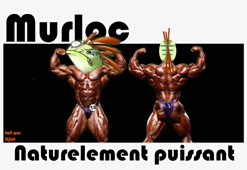 Https - //pbs - Twimg - - - Portable Network Graphics, transparent png download