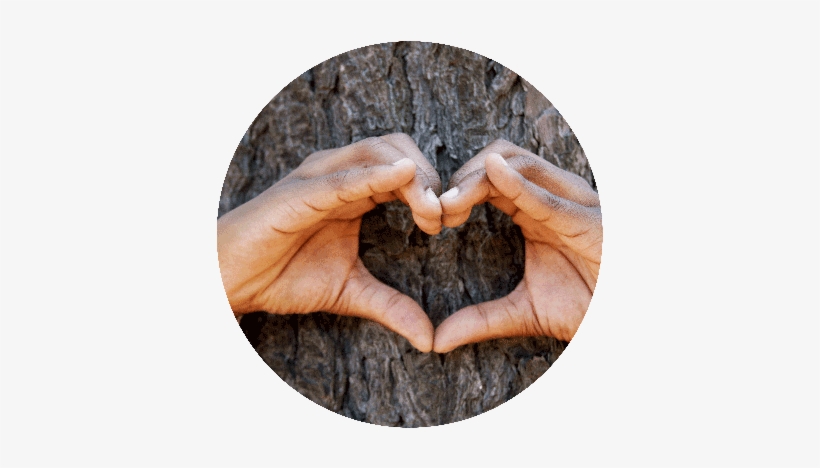 Original Size Is 400 × 397 Pixels - Trunk, transparent png download