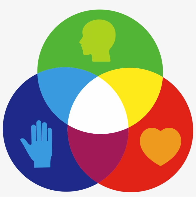 Full Head Heart Handssqb Prim Colo Serv2017 12 05t09 - Science Curriculum In Usa, transparent png download