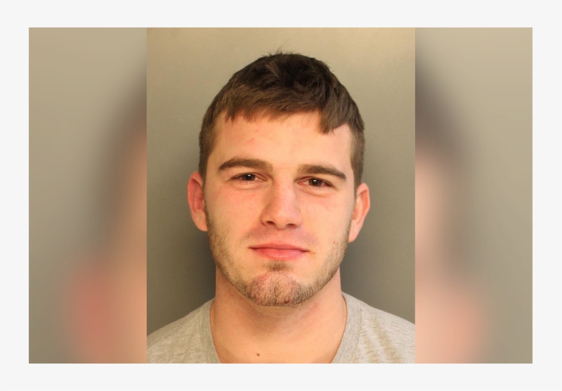 Man Arrested After Punching Police Horse - Taylor Hendricks, transparent png download