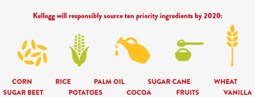 Kellogg Will Responsibly Source Ten Priority Ingredients - Kellogg's Sustainability, transparent png download