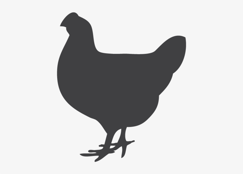 Silhouette, transparent png download