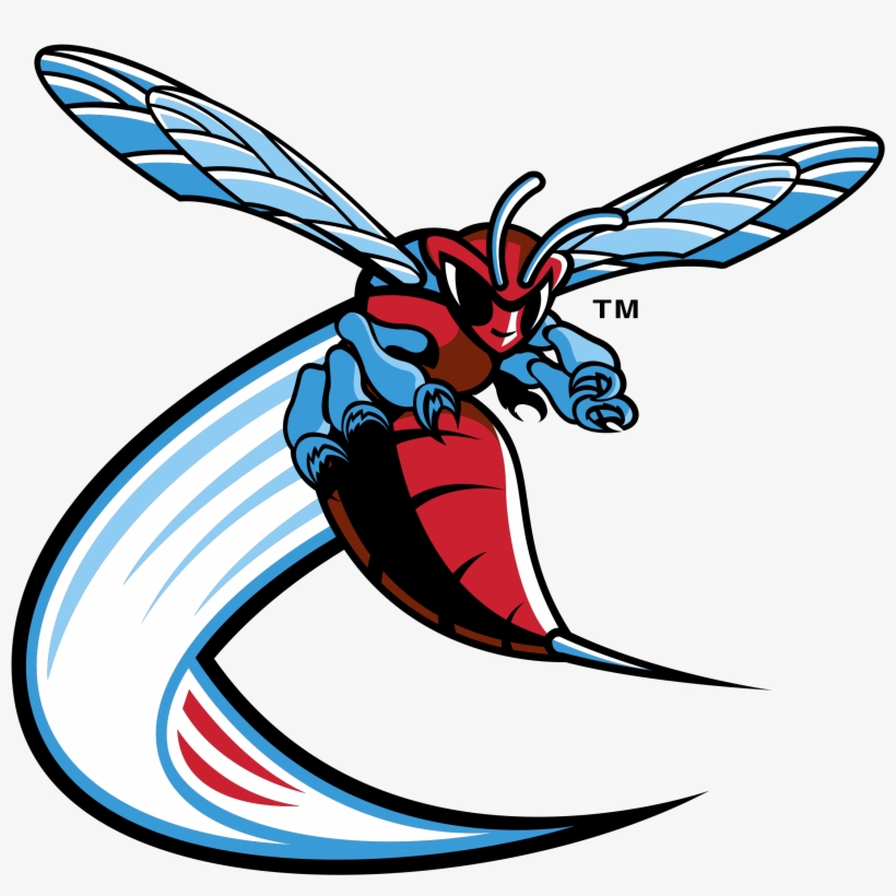 Delaware State Hornets Logo Png Transparent - Delaware State Athletics Logo, transparent png download